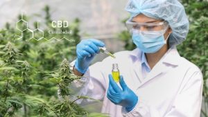 Scientist examining CBD ingredient sample for batch testing and traceability