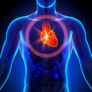 Digital image of a male upper torso in blue with an encircled red heart showing